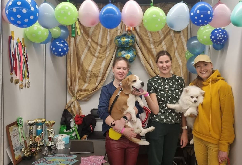 В Перми театр собак представил сказку «Бременские музыканты»