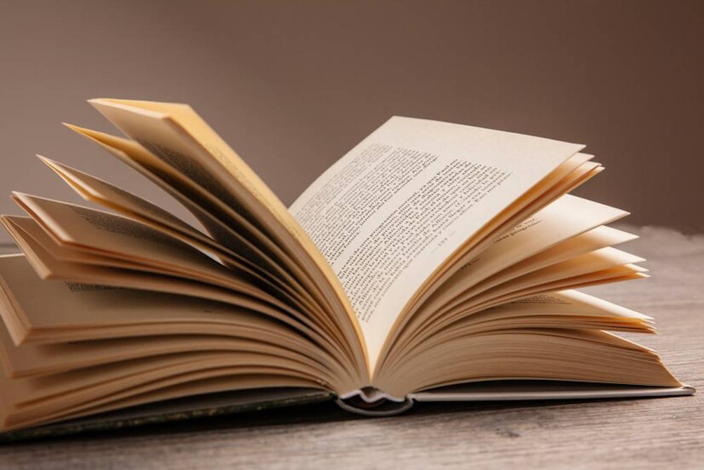 В Перми открылся книжный клуб, где изучают историю города через литературу и кино