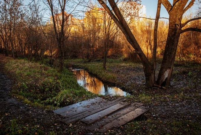 Пермь &mdash; рекордсмен по количеству малых рек среди городов России. 