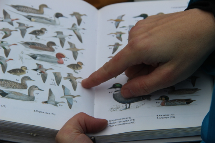 Как в Перми появилось общество любителей птиц и чем занимаются его участники-бердвотчеры