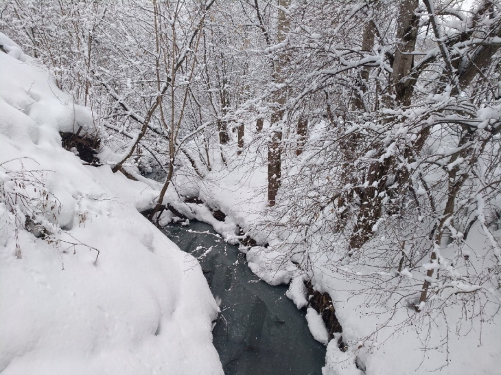 Новый проектный офис в Перми займется благоустройством малых рек