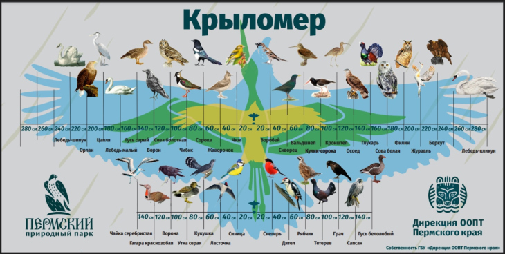 Такие элементы появятся на популярных экотропах парка в уже следующем году
