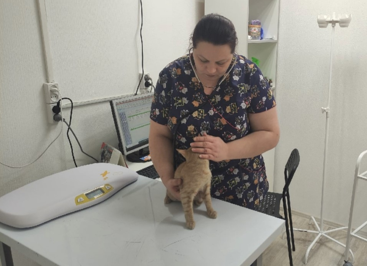 В Перми закрывается первая в регионе социальная ветклиника