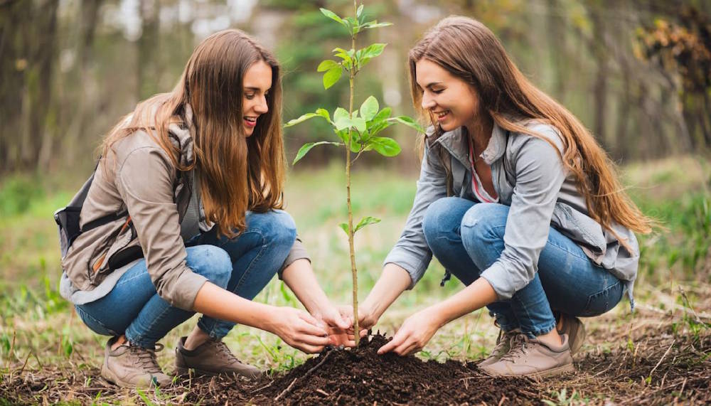 Пермские стобальники высадят первые деревья в Саду выпускников