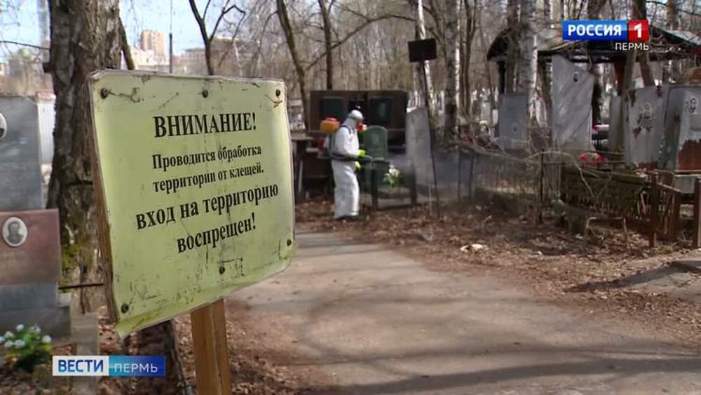 В Перми с 27 апреля начнется противоклещевая обработка городских лесов