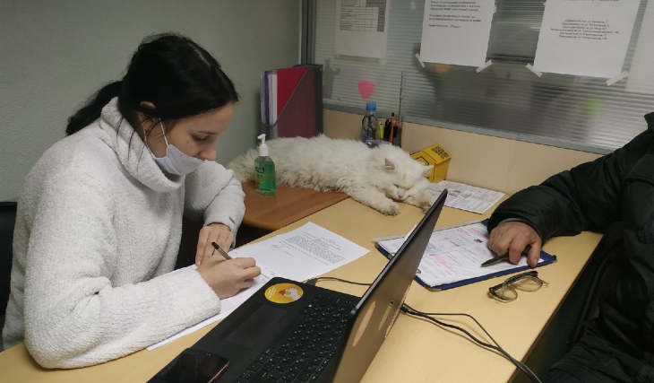 В Перми для бездомных людей завели кототерапевта