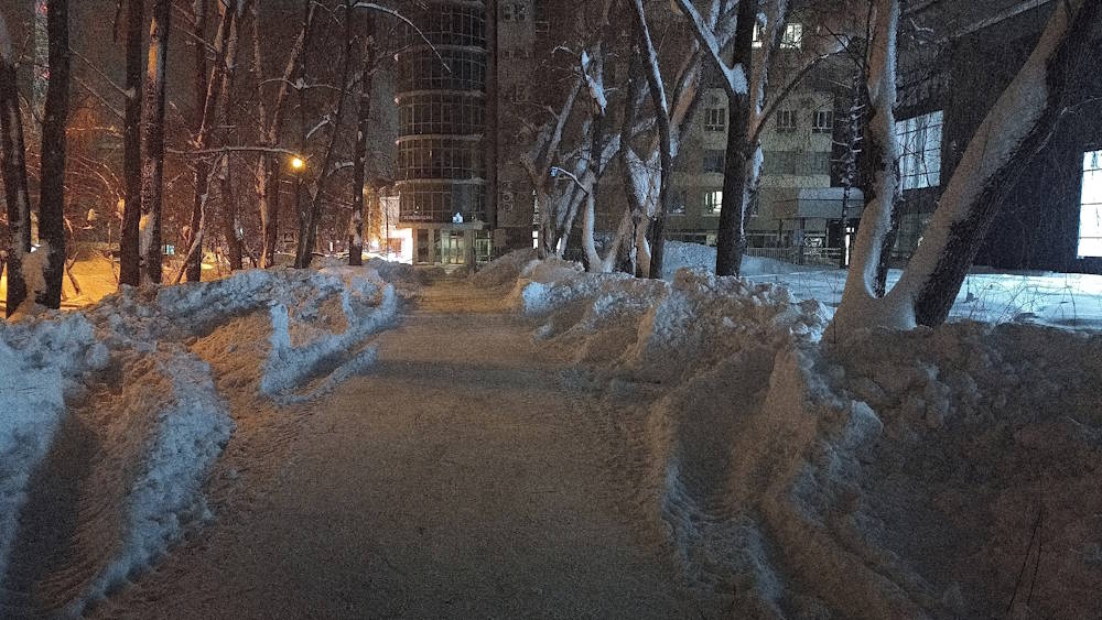 В Перми снегоуборочной техникой повредили аллею ив «Памяти Бажова»