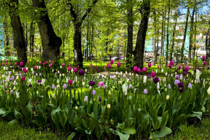 Цветник Пермь