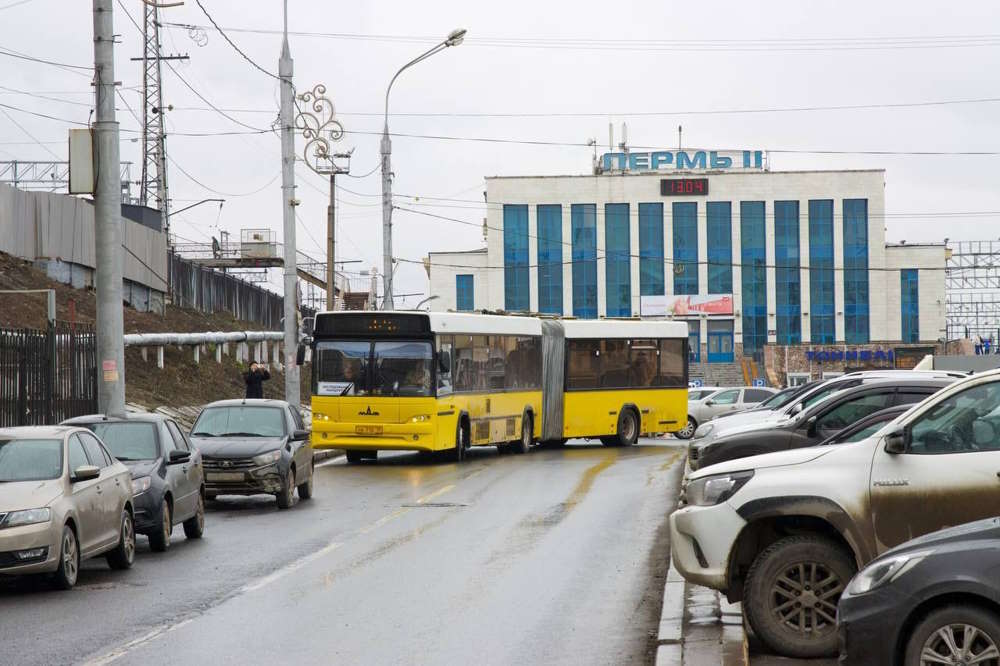 В Перми автобусы-гармошки запустят на шести маршрутах