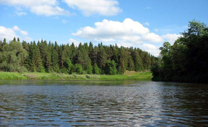 Сплав