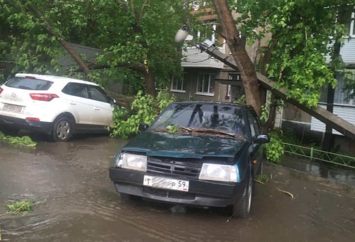 В Перми ураган ронял деревья и столбы на дороги и автомобили