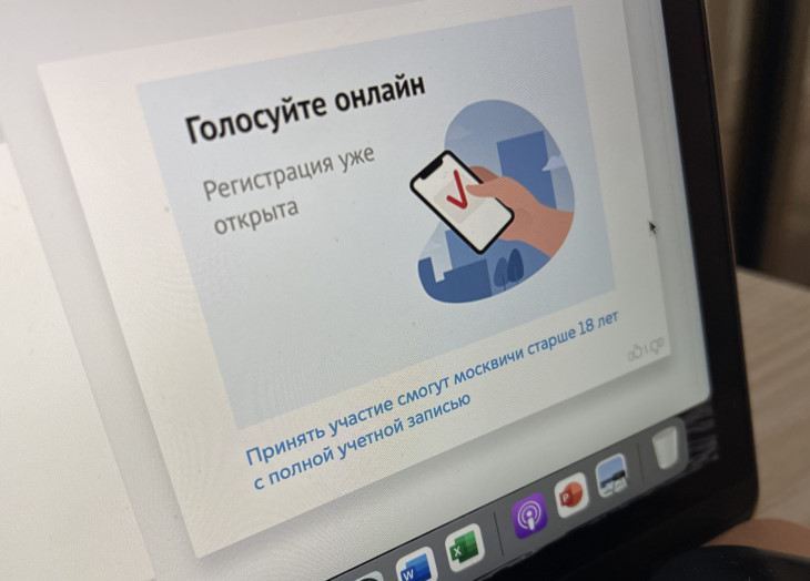 Пермский край готовится к введению дистанционного электронного голосования