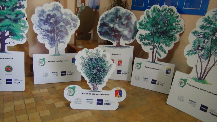 По Пермскому краю путешествует уникальная экологическая выставка «Аллея в картоне»