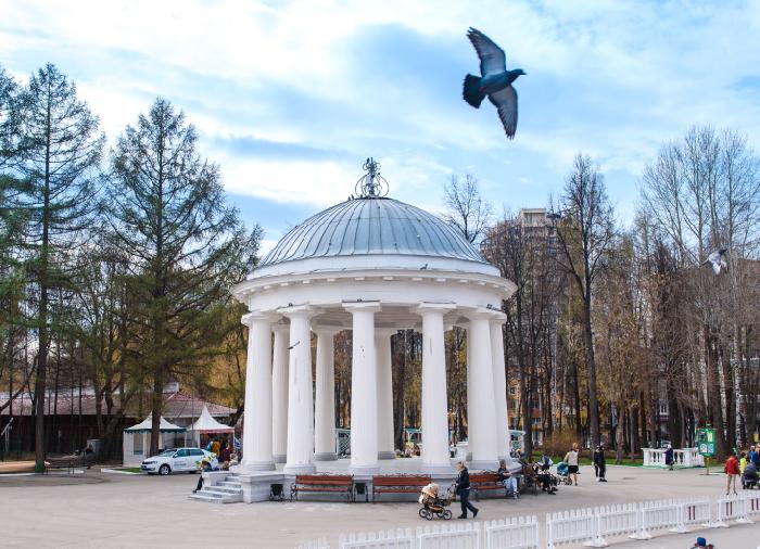 В ротонде в парке им. Горького будут проводить свадебные церемонии