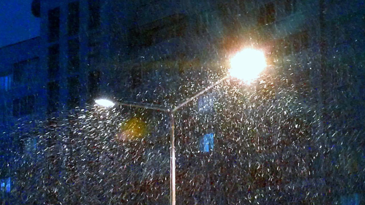 Ночной снегопад в Перми стал самым интенсивным в этом веке.