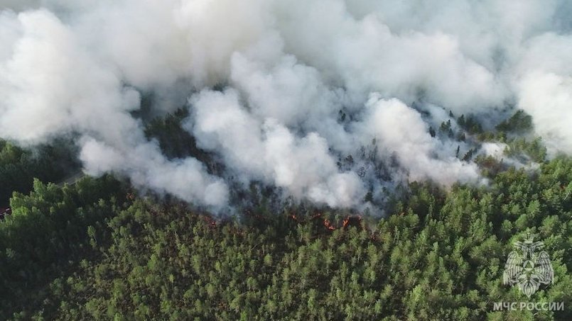 В Краснокамском округе пожарные ликвидируют крупный лесной пожар