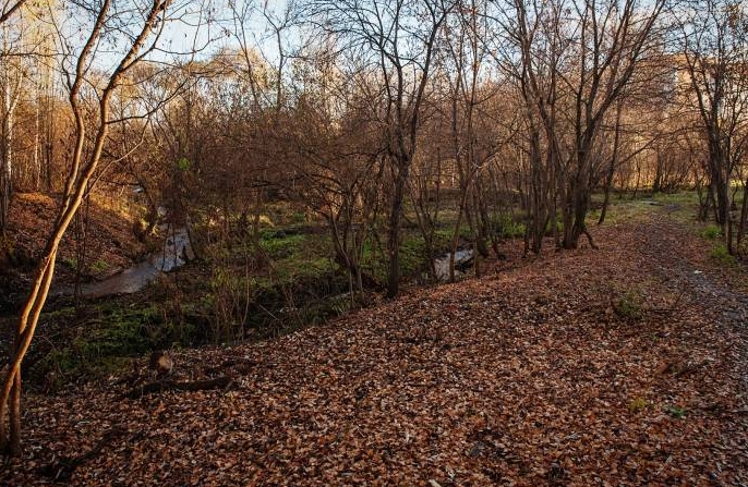 Пермь — рекордсмен по количеству малых рек среди городов России. 