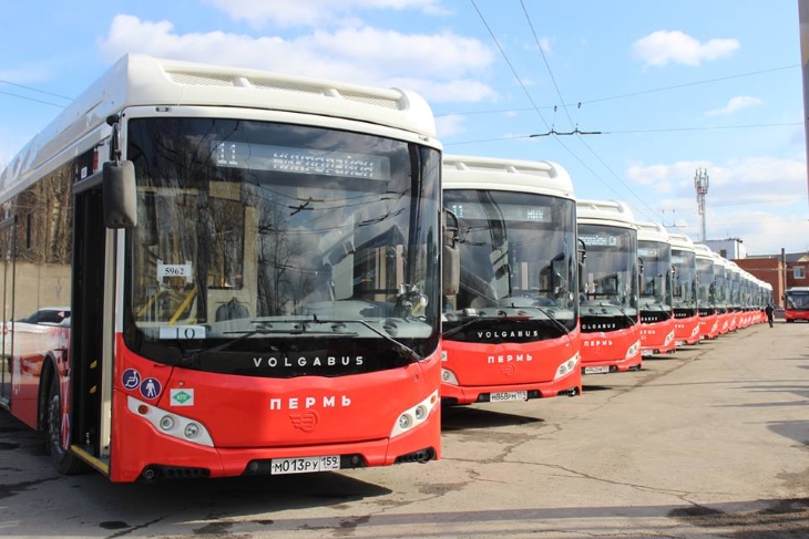 В Пермь прибыли все заказанные автобусы Volgabus