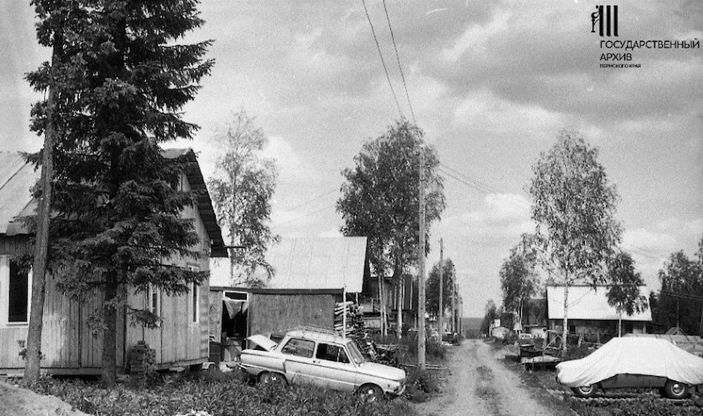 «Дачная жизнь пермяков»