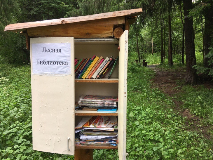 В пермском лесу открылась библиотека