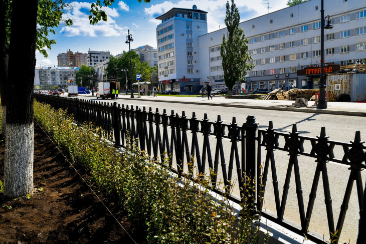 Старую живую изгородь с Компроса пересадят в другие районы Перми