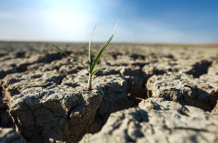 Засуха в Перми во втором квартале года стала самой сильной за 140 лет 