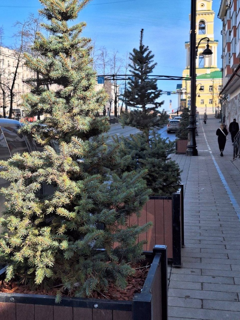 В Перми начали устанавливать мобильное озеленение