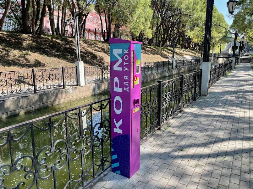 В Перми установили первую кормушку для диких уток
