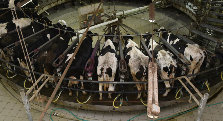 Агрофирму Александра Репина подозревают в незаконном получении субсидии