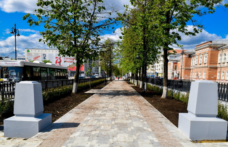 В центре Перми по непонятной причине болеют липы