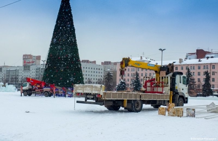 Пермь хочет купить одну из самых высоких новогодних елей