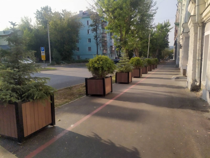В Перми контейнеры с елями и туями переехали на другую улицу