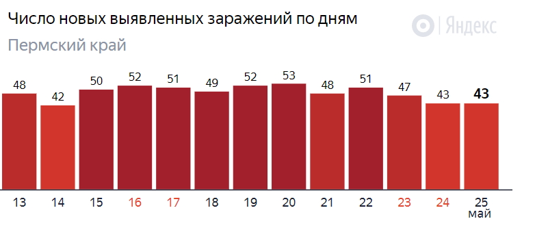 «Так не бывает»: доцент МГУ не верит в одинаковое ежедневное число заболевших в Прикамье