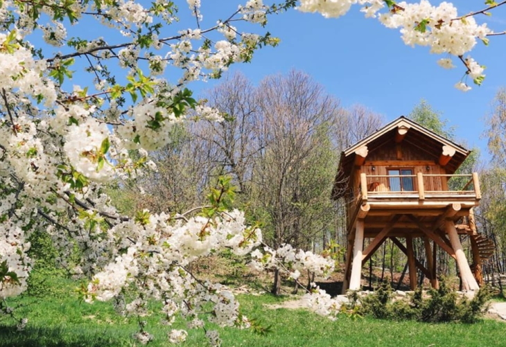 Дом на дереве