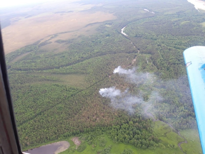 В Пермском крае искусственный интеллект будет предсказывать лесные пожары