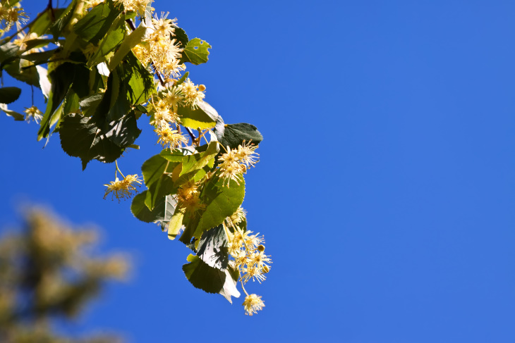 Фото bearfotos (Freepik)