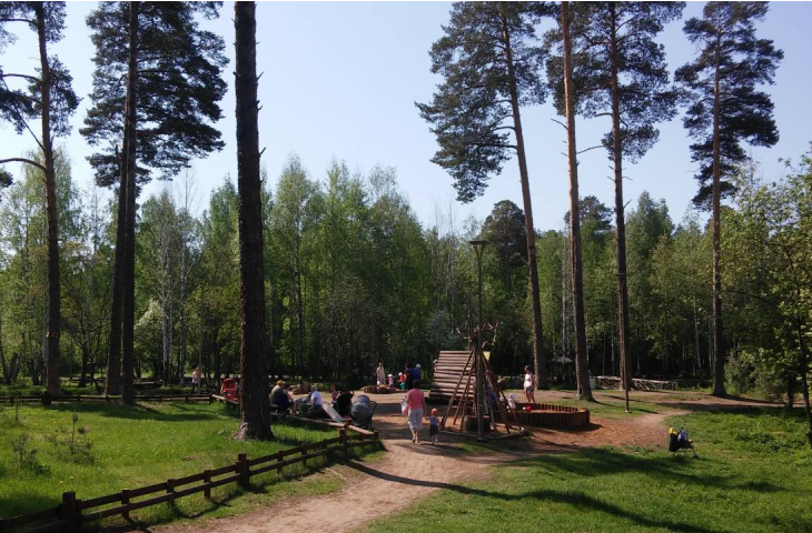 Черняевский лес