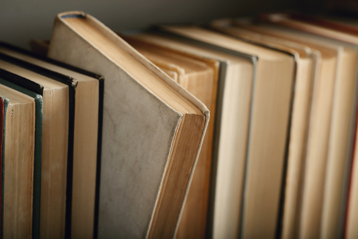 Основными партнёрами блошки станут независимый книжный магазин «Пиотровский», который уже традиционно устроит большую распродажу.