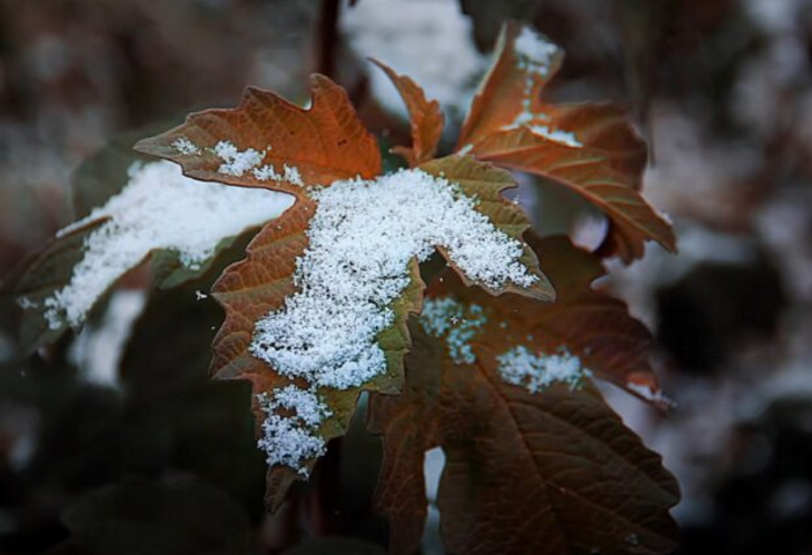 В Перми ожидается похолодание и ливневые снегопады.