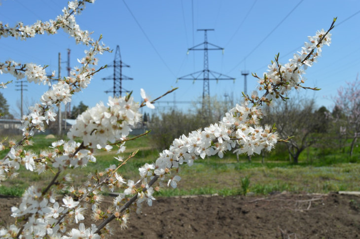 Во время майских праздников «ОРЭС-Прикамья» усилило контроль за надежностью электроснабжения